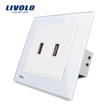 Livolo Factory Universal 2 Gang USB Smart Glass Socket VL-W292U-12